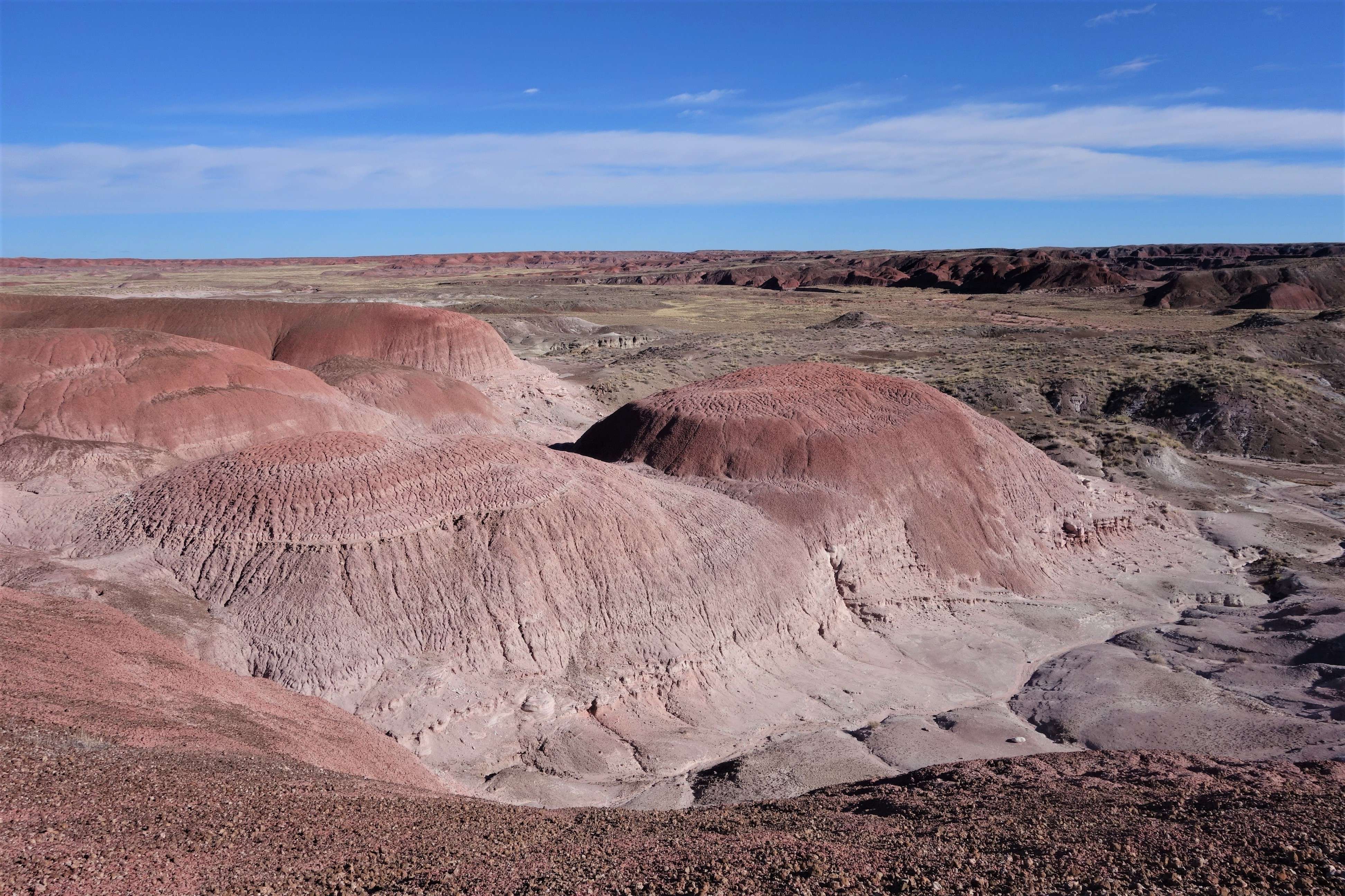 Petrified Forest NP